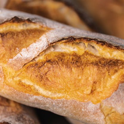 SourDough Masterclass