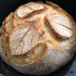 Pure Sourdough Workshop